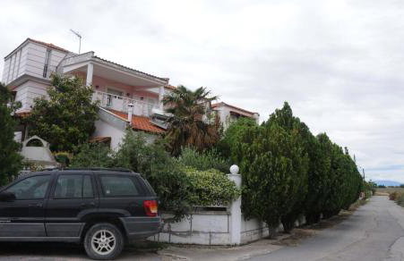 House of Arts - Photo 32