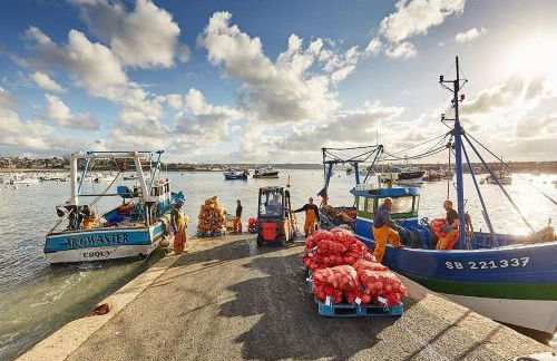 D'azeline - Photo 39