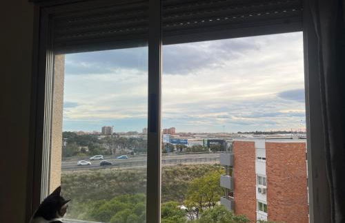 San Vicente del Raspeig Alicante - Foto 11