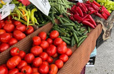 Levanta Apartment - Foto 33