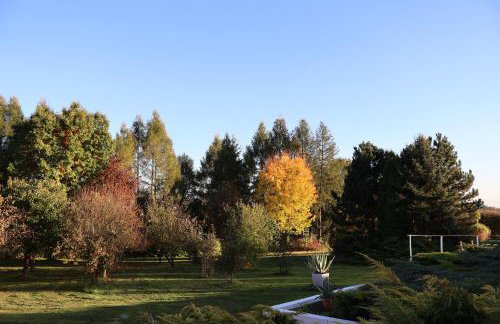 Rezydencja Pod Platanem - Photo 13