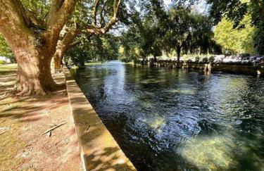 Riverside flat between Isle sur la Sorgue & Gordes - Foto 16