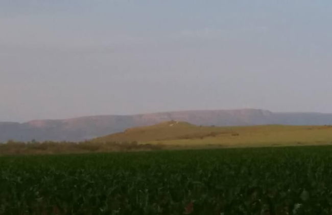 Woodland Gardens - Photo 76