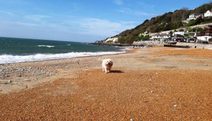 Kaia Penthouse, waking up to the sound and smell of the ocean - Foto 3
