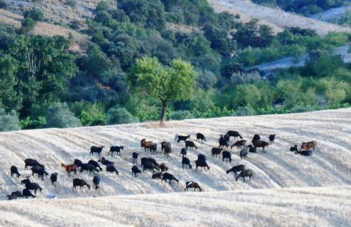 Cortijo La Estrella - Photo 24