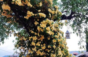ENTRESIERRAS Apartamentos rurales con chimenea, barbacoa y espacio para eventos - Foto 24