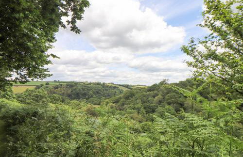 Skiber Coombe - Photo 30