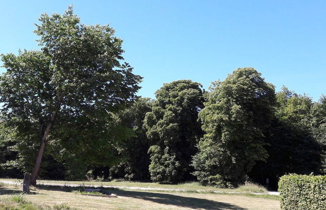 6 Person Holiday Home in Taastrup - Photo 19