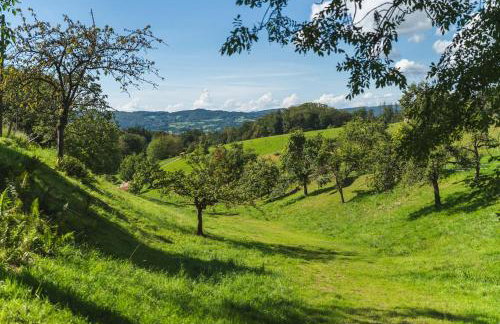 Grünewaldhof in Rimbach im Odenwald - Foto 1