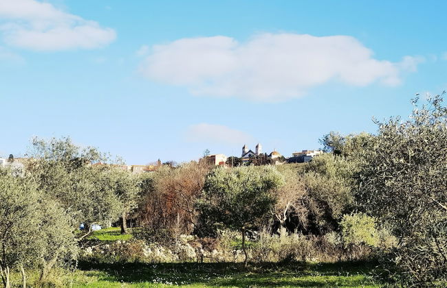 la corte degli ulivi - Foto 66