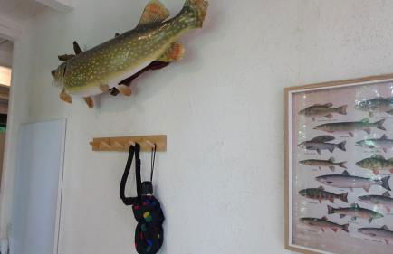 Ferienhaus Gädda - Foto 19