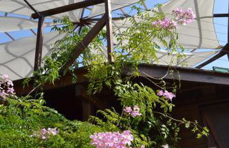 El Quinto Pino 3 habitaciones privadas con cocina y baño compartidos - Foto 51