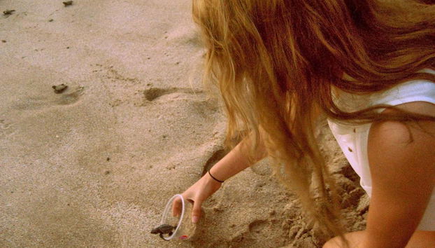 Excursão ao santuário de tartarugas El Verde Camacho - Foto 4