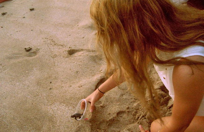 Escursione al santuario di tartarughe El Verde Camacho - Foto 4