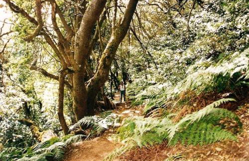 Casa Rural Finca la Maleza - Foto 49