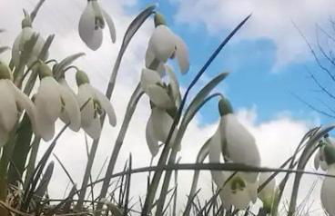 Tiny House mit eigener Sauna am Waldrand in der Fränkischen Schweiz - Foto 56