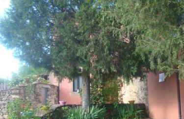 La Perseverancia - Foto 44