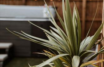 The Ginger Nut - Foto 18