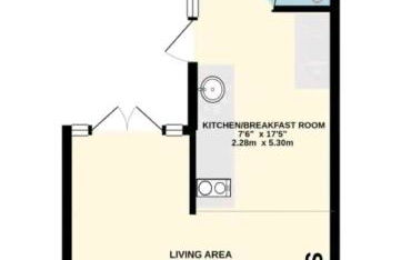 The Salty Bee - Photo 9