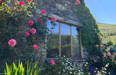 Romantic Snowdonia Cottage with Hot tub, sea & mountain views - Foto 9