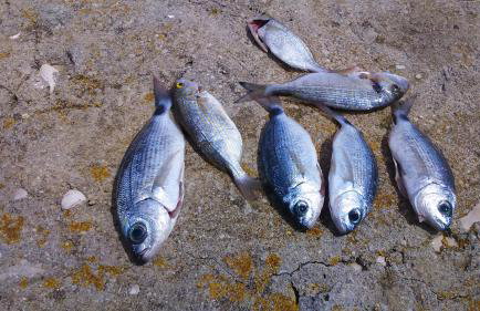 Apartment Marijo - Foto 55