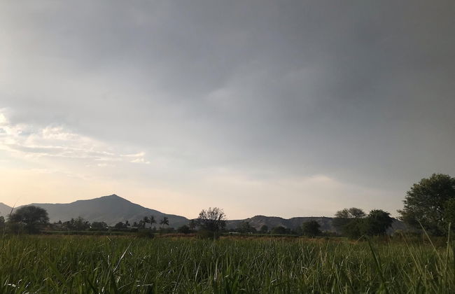 ingawale farmhouse - Photo 44