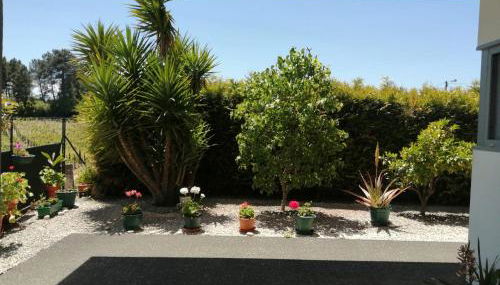 Single House - Foto 3