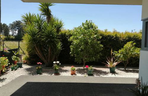 Single House - Foto 3