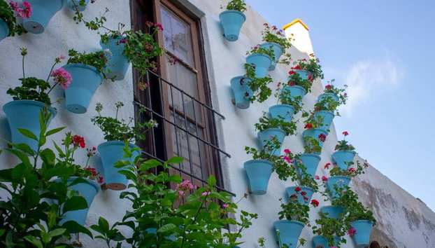 Entrada a los Patios de Córdoba - Foto 2, Macetas en un patio de calle La Barrera