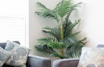 Perfect spot for Savannah vacation! - Foto 67