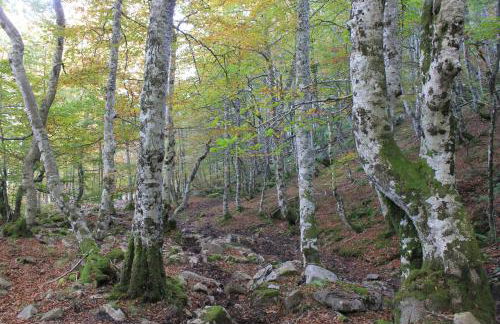 Balcón de la Len - Foto 36