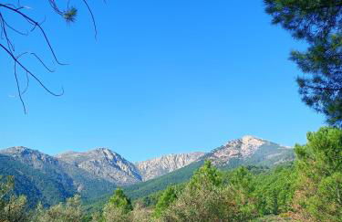 Estrellas de Gredos - Photo 56