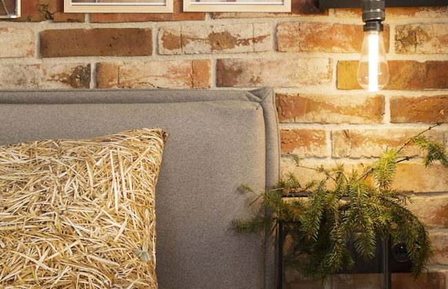 Green Deer Premium - Foto 44