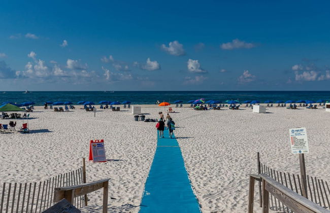 Phoenix VII 1416 - Foto 103