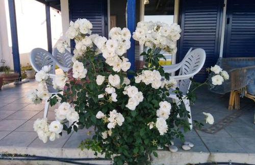 Sea view villa - Foto 33