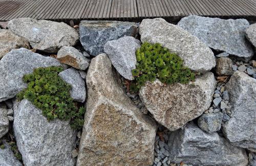 Apartment Aigner - Foto 22