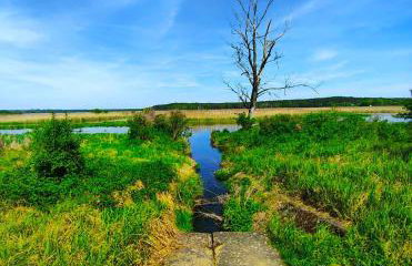 Leśniczówka Zielone Zakole - Foto 43