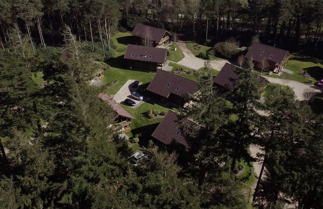 The Dorset Resort - Foto 77