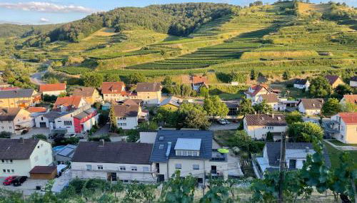 Weingut & Straußwirtschaft Vogel - Foto 2