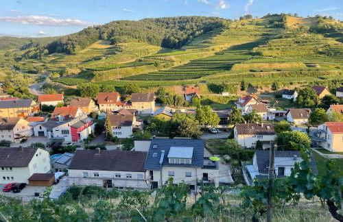 Weingut & Straußwirtschaft Vogel - Foto 2