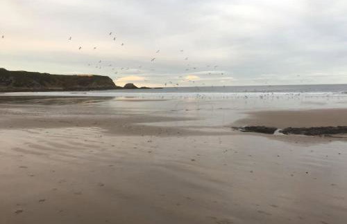 Glenburn, Peaceful Accommodation Fochabers - Foto 41