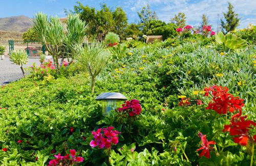 Nashira HOT TUB PISCINA Y JARDIN - Foto 29