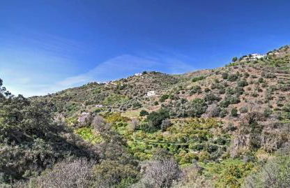 Finca el Almendro Archez - Foto 16