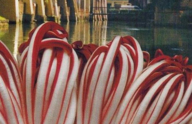 Agriturismo Il Cascinale - Photo 14