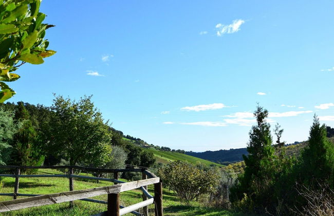 Apartment in a Farmhouse With Swimming Pool - Foto 12