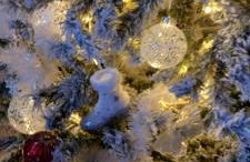 Butterflies Rest - Foto 46