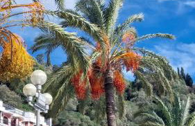 La Casetta - Foto 12