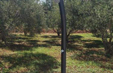 Apartmani Čiklić - Photo 18