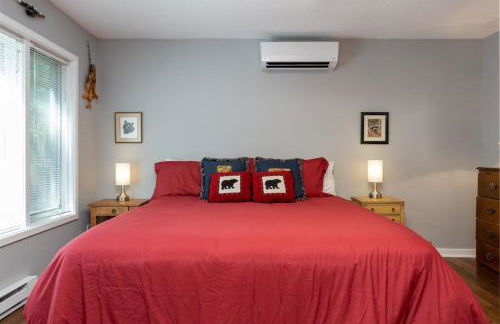 Nancy's Edelweiss with Wintergreen Advantage - Foto 22