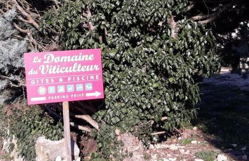 Gite les Oliviers - Le Domaine du Viticulteur - St Maurice d Ibie - Foto 46